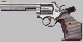 revolver.GIF (16437 bytes)